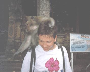 [A picture of myself with a monkey on my head]